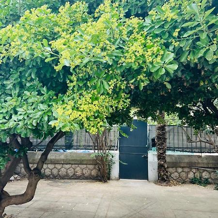 Maison 23 Coursan المظهر الخارجي الصورة