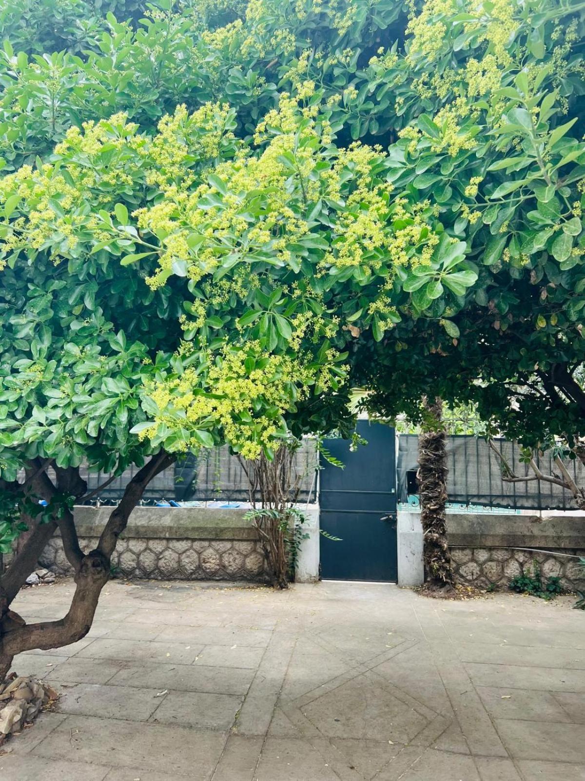 Maison 23 Coursan المظهر الخارجي الصورة